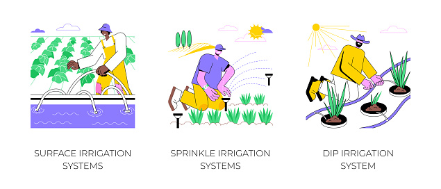 Irrigation systems isolated cartoon vector illustrations set. Farmer installs surface sprinkling equipment, automatic dip irrigation, agricultural input sector, agribusiness vector cartoon.