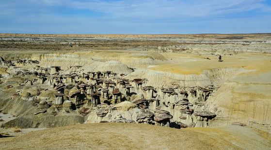 NEW MEXICO, USA - NOVEMBER 19, 2019: Weird sandstone formations created by erosion at Ah-Shi-Sle-Pah Wilderness Study Area in San Juan County near the city of Farmington, New Mexico