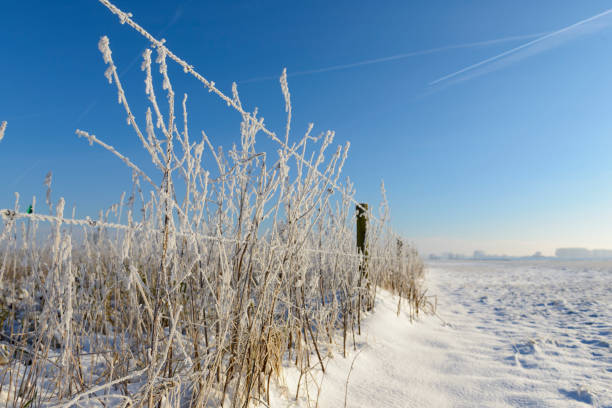 Sunset over a snow covered winter landscape in the floodplains of the river IJssel in The Netherlands.