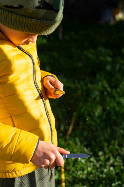 istock Boy sharpening a stick with a knife in nature 1921727933