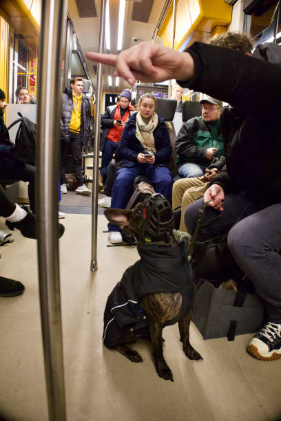 Contextual integrity: Mainz, Germany, January 09, 2024, A Dog with his owner on a Train.