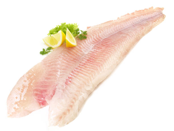 istock Raw Catfish Fish Fillet 1921774960