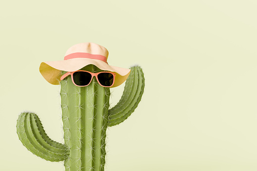3D rendering of a green cactus wearing stylish sunglasses and a hat against a soft green background, quirky summer concept.