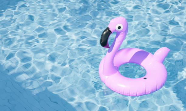 istock Pink Flamingo Float in Swimming Pool, Summer Relaxation Concept 1921779372