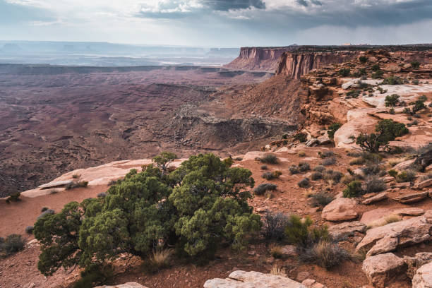 istock canyon landscape in usa 1921788633