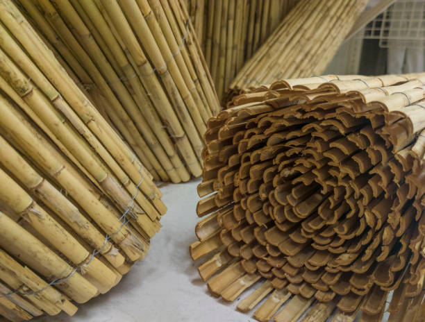 istock Garden fence rolls built with wattle 1921795656