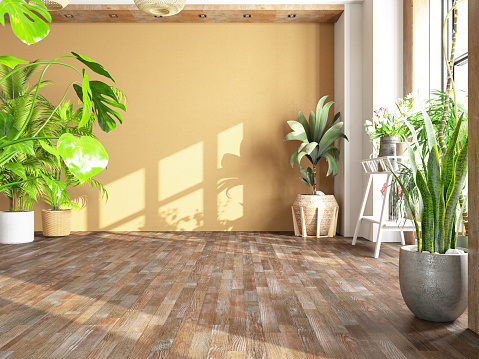 Cozy Unfurnished Beige Room Full of Indoor Plants. 3D Render