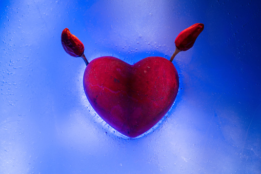 Red stone heart with horns of red hot peppers frozen  in blue ice with a cracks, a symbol of love or betrayal or separation.