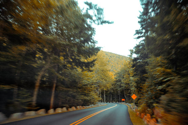 autumnal road in nova scotia