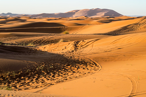 Evening Erg Chebbi Dunes, Sahara Desert in Morocco