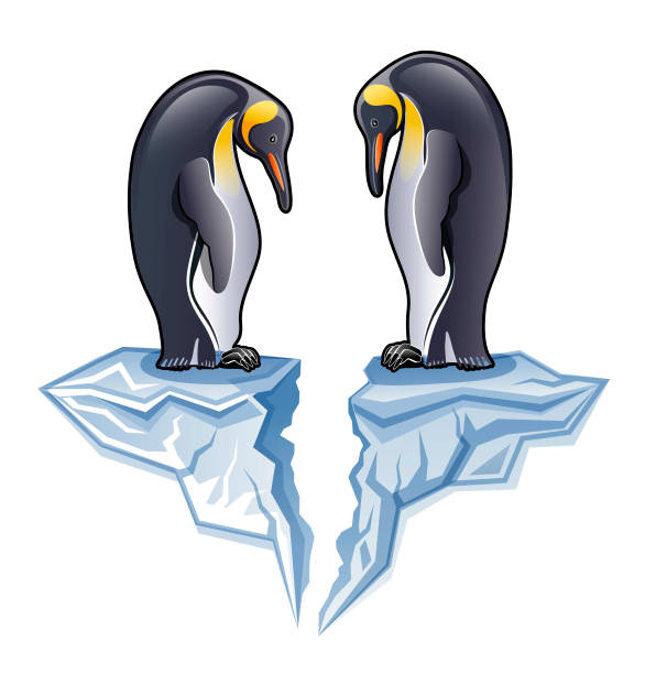 ilustrações de stock, clip art, desenhos animados e ícones de couple of antarctica king penguin standing on broken iceberg illustration - penguin animal white background king penguin