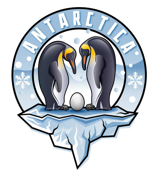 ilustrações de stock, clip art, desenhos animados e ícones de couple of antarctica king penguin with egg standing on iceberg illustration - penguin animal white background king penguin