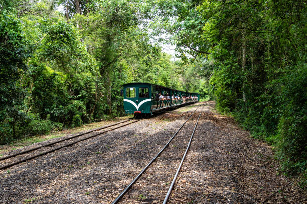 Iguazu, Argentina - Dec 10, 2023: Rainforest Ecological Train at Iguazu Falls National Park in Argentina. Train between stations inside the Puerto Iguazu national park.