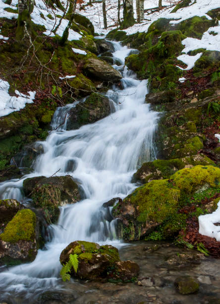 istock Waterfall in the Irati Jungle. 1921906250