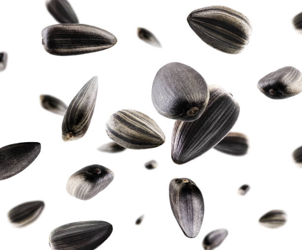 istock Sunflower seeds fly and levitate in space. Volumetric back light. Isolated on white. 1921915280
