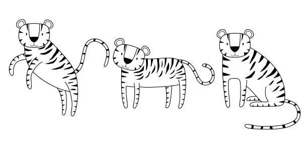 Vector illustration of Cute tiger line sketch set. Outline vector illustration.