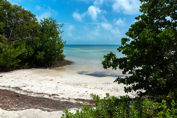 istock Anne's Park in the Florida Keys 1921947265