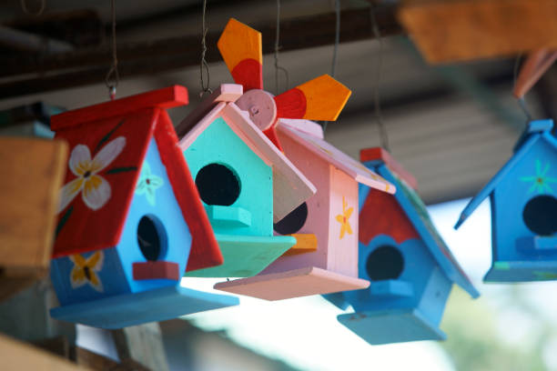 istock colorful bird house 1922002033