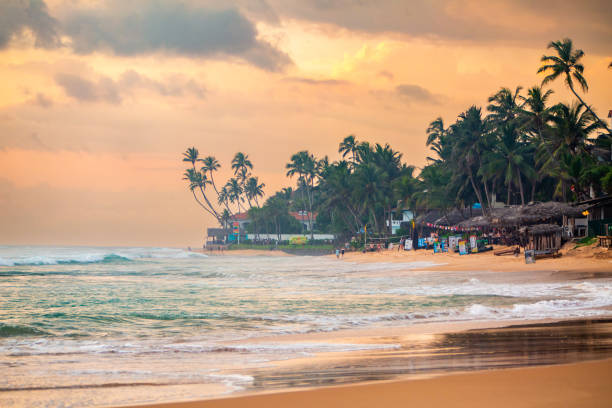istock Sunset Beach Scene with Tall Palm Trees, People Walking, and a Coastal Building Under a Cloudy Sky in Hikkaduwa. 1922043323
