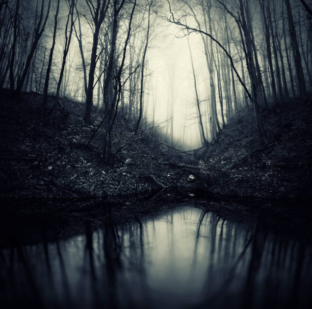 surreal nature photography