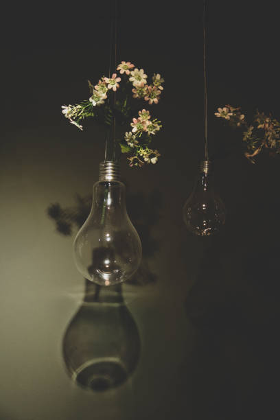 Light bulb and flowers on dark background with reflection. Vintage tone.