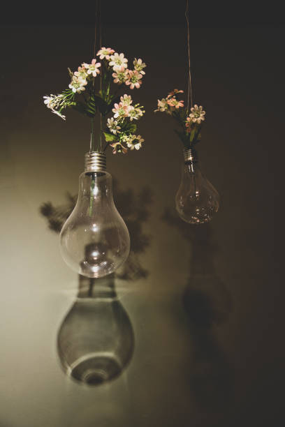 istock Light bulb and flowers on dark background with reflection. Vintage tone. 1922091276