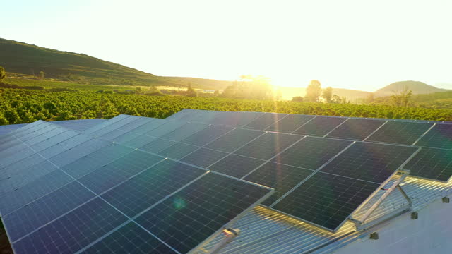 Drone, farm and solar panel in sunshine, outdoor or system for renewable energy infrastructure. Photovoltaic innovation, clean power and electricity production in countryside, industry or agriculture