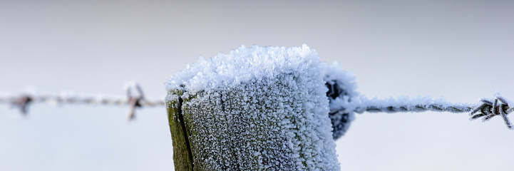 Winterscene, daytime close-up of a frosted wooden pole holding barbed wire in an agricultural field