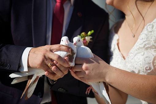 Two white doves in the hands of the bride and groom. It is a wedding tradition to release birds into the sky. A wedding or engagement.