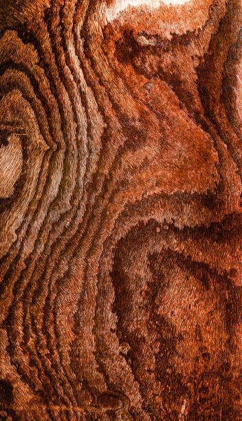 istock Beautiful wood grain. Wood background. Wood grain pattern texture background 1922148746
