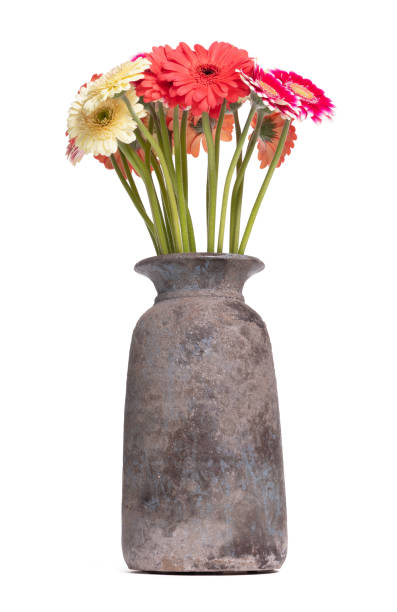 istock Mixture of Gerbera flowers, red, pink and white 1922171606