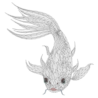 Fish koi carp outline low-polygon  vector illustration editable hand draw