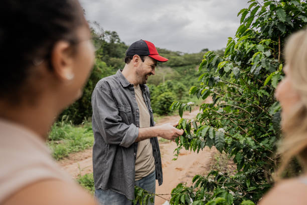 istock Farmer talking to tourists in a coffee plantation 1922226562