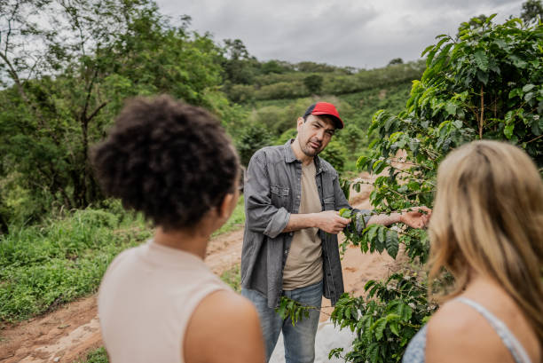 Farmer talking to tourists in a coffee plantation