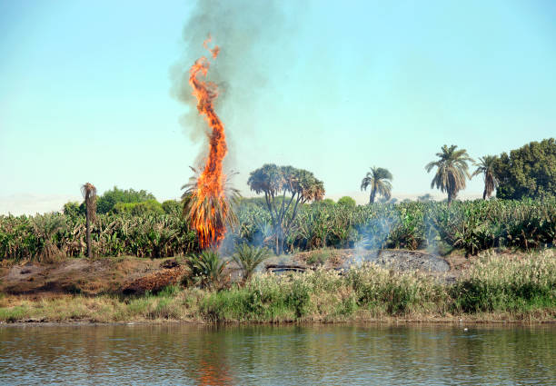 The River Nile has always and continues to be a lifeline for Egypt. Trade, communication, agriculture, water and now tourism provide the essential ingredients of life - from the Upper Nile and its cataracts, along its fertile banks to the Lower Nile and Delta. In many ways life has not changed for centuries, with transport often relying on the camel on land and felucca on the river