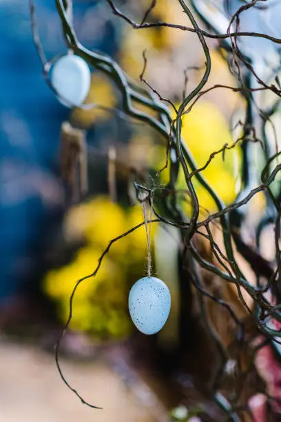 Photo of Easter decor. Eggs hanging on twig branch at home interior. Easter decorations in room with space for text. Decorative colorful Easter eggs. Stylish spring background in house. Greeting card or banner