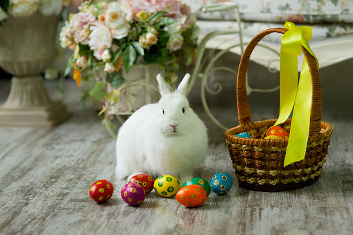 Little white Easter Bunny sitting near a basket. Beside the basket are a bright painted colorful Easter eggs.
