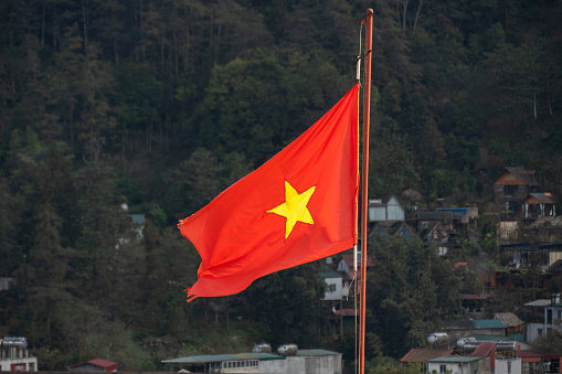 Vietnamese National Flag