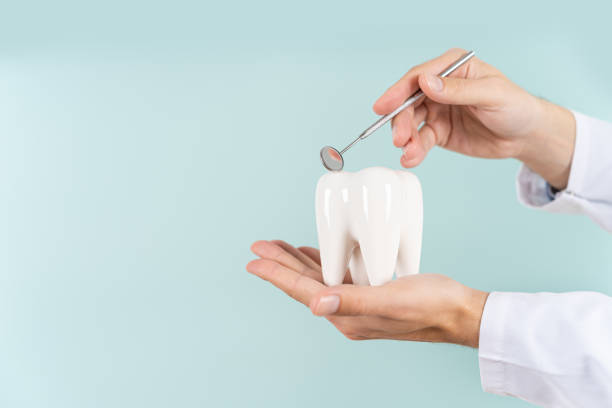 istock Dentist hand with healthy white tooth model and dentist mirror on blue background. Copy space. Teeth care, dental treatment, tooth extraction, implant concept. Dental clinic special offer 1922318232