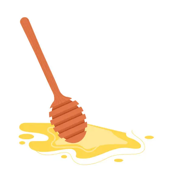Vector illustration of Wooden honey dipper with dripping honey isolated on white background. Sweet natural food concept vector illustration
