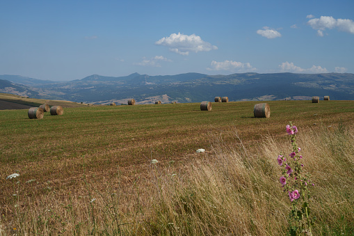 Rural landscape in Avellino province, Italy, at summer