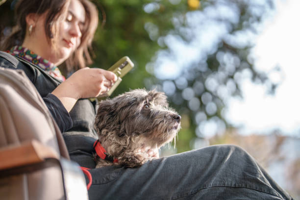 Young woman and her dog in public park