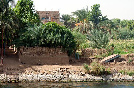 Rustic riverbank scene,River Nile, Egypt. The River Nile has always and continues to be a lifeline for Egypt. Trade, communication, agriculture, water and now tourism provide the essential ingredients of life - from the Upper Nile and its cataracts, along its fertile banks to the Lower Nile and Delta. In many ways life has not changed for centuries, with transport often relying on the camel on land and felucca on the river