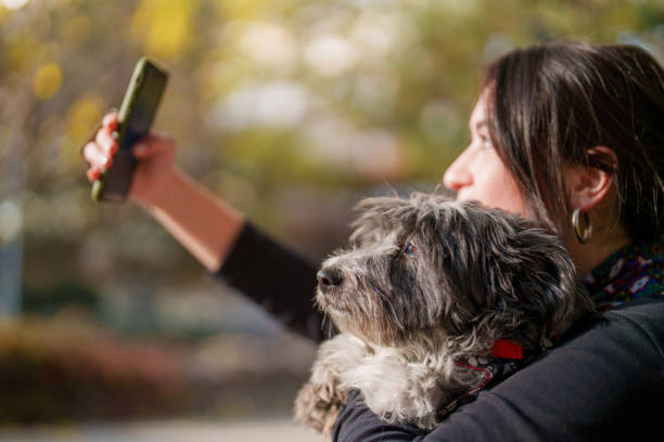 istock Young woman using mobile phone with her dog in public park 1922331775