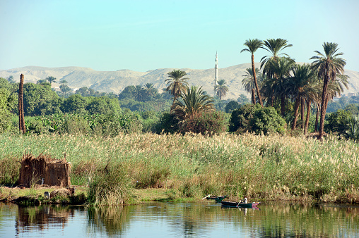 Lone person in rowboat along riverbank, River Nile, Egypt. The River Nile has always and continues to be a lifeline for Egypt. Trade, communication, agriculture, water and now tourism provide the essential ingredients of life - from the Upper Nile and its cataracts, along its fertile banks to the Lower Nile and Delta. In many ways life has not changed for centuries, with transport often relying on the camel on land and felucca on the river