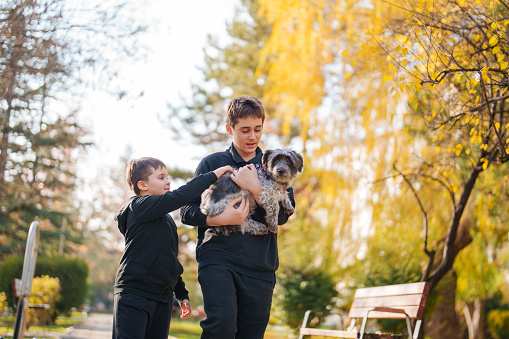 Two boys and their pet dog are at outdoors.