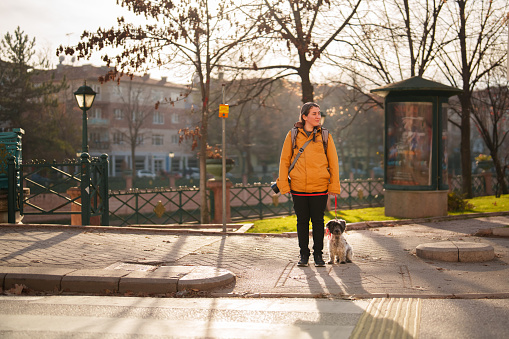 Man is playing with his yellow labrador retriever in winter landscape