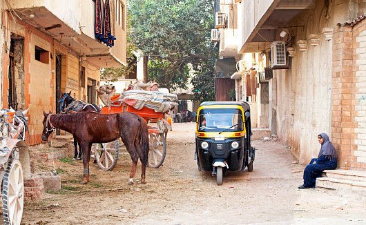 Giza backstreet life, Giza, Cairo, Egypt. Various means of transport are utilised to entice tourists to tour the ancient area of Giza. The River Nile has always and continues to be a lifeline for Egypt. Trade, communication, agriculture, water and now tourism provide the essential ingredients of life - from the Upper Nile and its cataracts, along its fertile banks to the Lower Nile and Delta. In many ways life has not changed for centuries, with transport often relying on the camel on land and felucca on the river