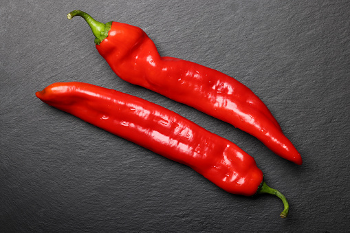 sliced jalapeno peppers isolated on white background. Green chili pepper. Capsicum annuum. top view