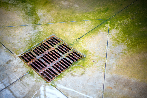 Old rusty open manhole surrounded by weeds